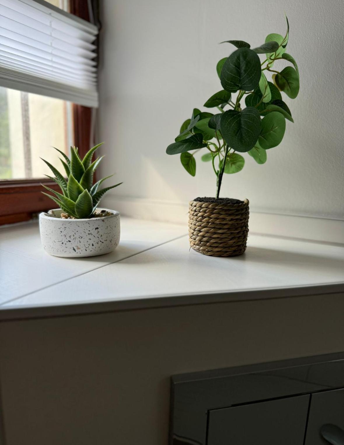 Apartment Alte Quickbox *